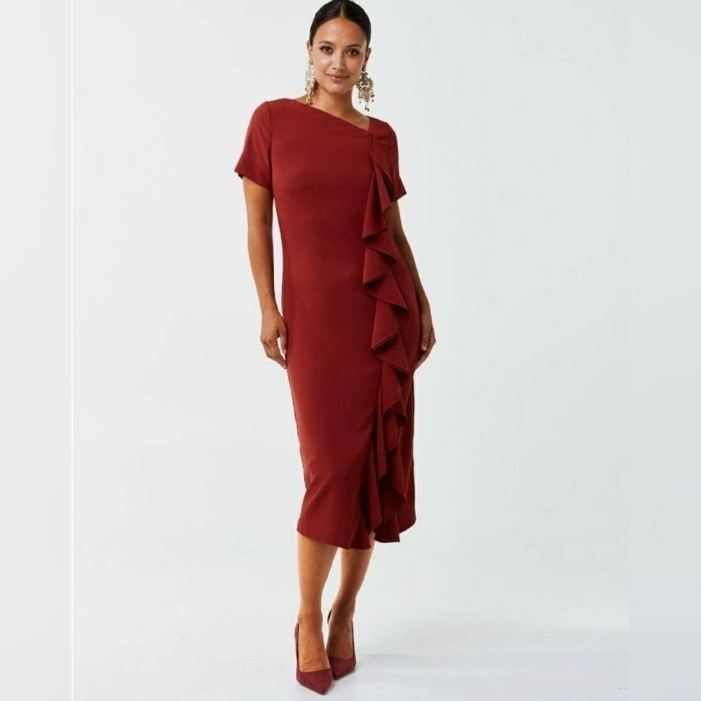 NWT Mestiza New York Rosalie Midi Ruffle Dress Size 0